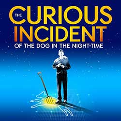 The Curious Incident of the Dog in the Night Time Seattle | Paramount Theatre